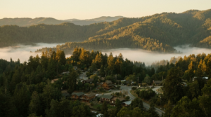 A small town nestled in the forested ridges of the Santa Cruz Mountains at golden hour